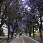 Popular jogging route by the river