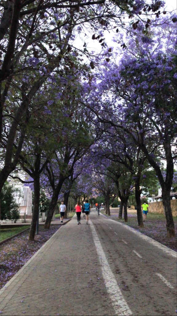 Popular jogging route by the river