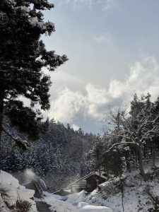 地獄谷野猿公苑のところ