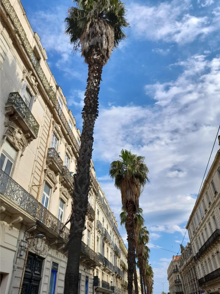 Le centre-ville de Montpellier