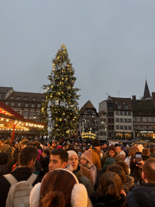 Le grand sapin de Noël à Strasbourg