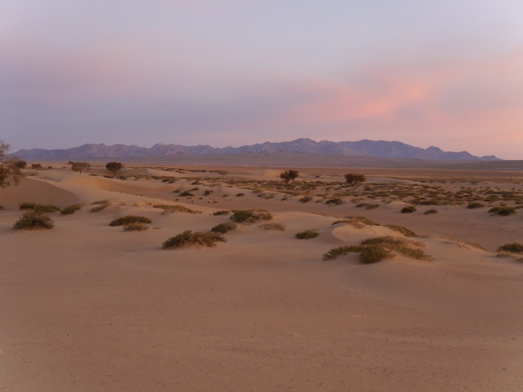 Sand dunes in the Semi-Gobi