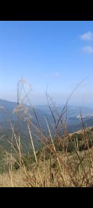 從陽明山的美景 The view from yangmingshan