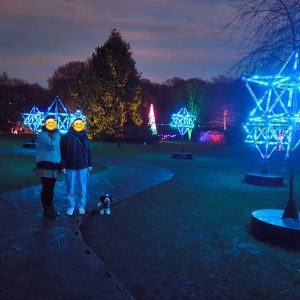 christmas lights display