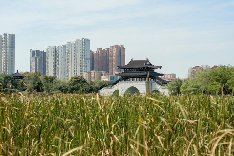 Asia-Language-Learning china