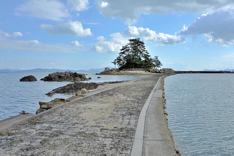 Korea-coast-scholarship coast