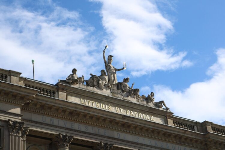 freedom-France-Language-