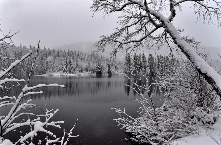landscape-quebec-language-french