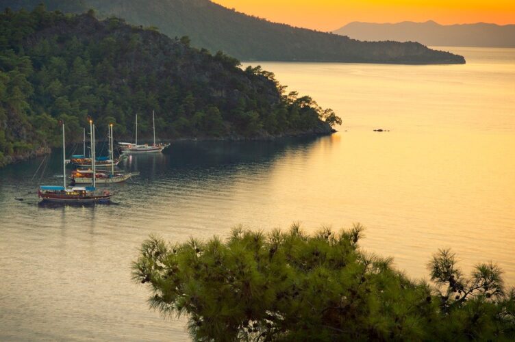 boat-language-spainish-study-