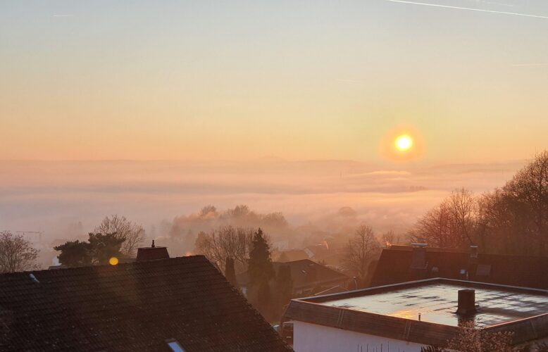 fog-language-study-Weimar-german-village