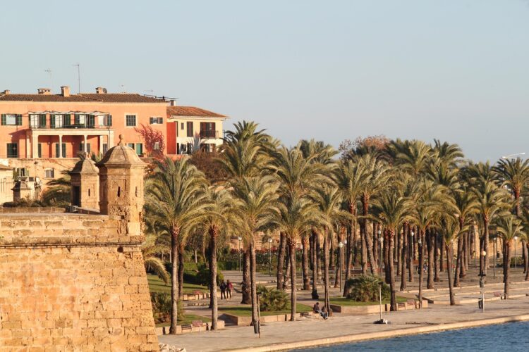 palma-de-mallorca-Language-study-palma-spain-island