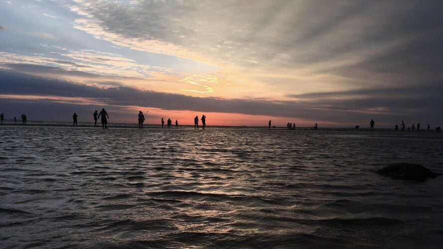 sea-language-study-japan