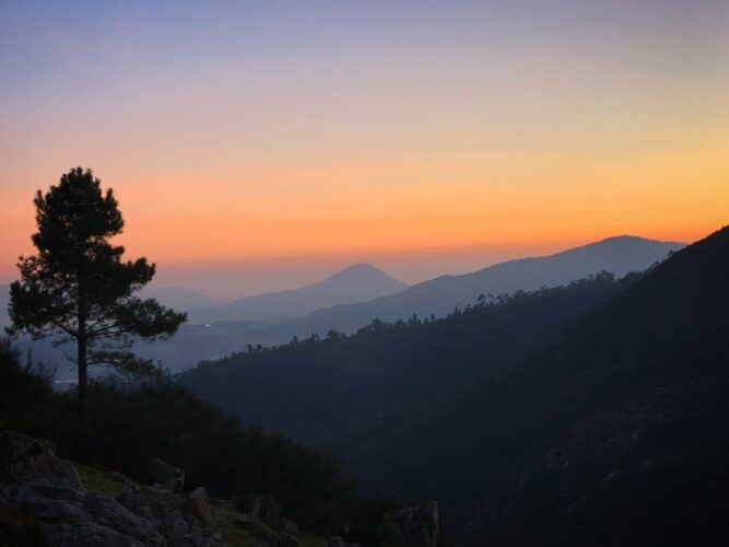silhouettes-Language-study-spanish-unemployment