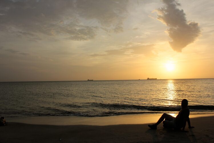 sunset-language-study-columbia