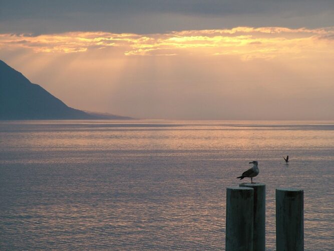 switzerland-Language-study-france-