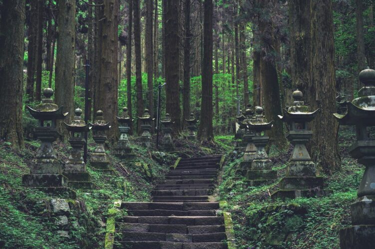 temple-language-study-japan