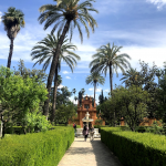 The Alcazar gardens in Seville