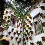 An example of a Córdoba courtyard