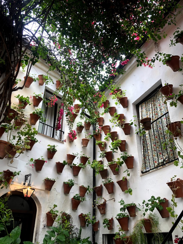 An example of a Córdoba courtyard